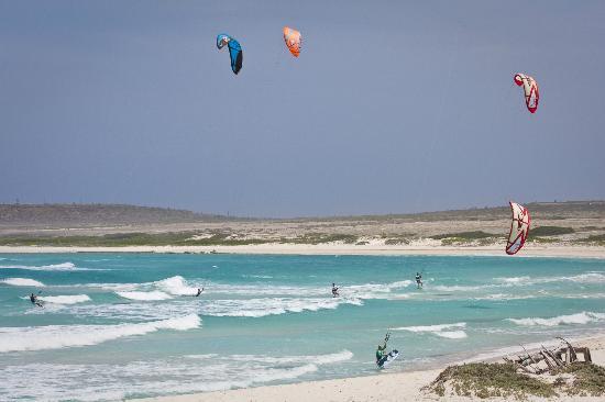 filename-img-3579-jpg