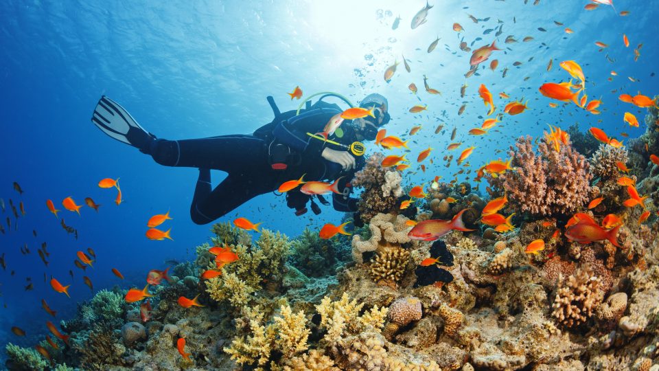 Diving yacht charters to Caribbean, Mediterranean with Mainsail
