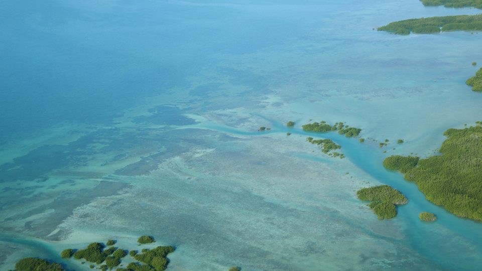 drowned cayes Belize
